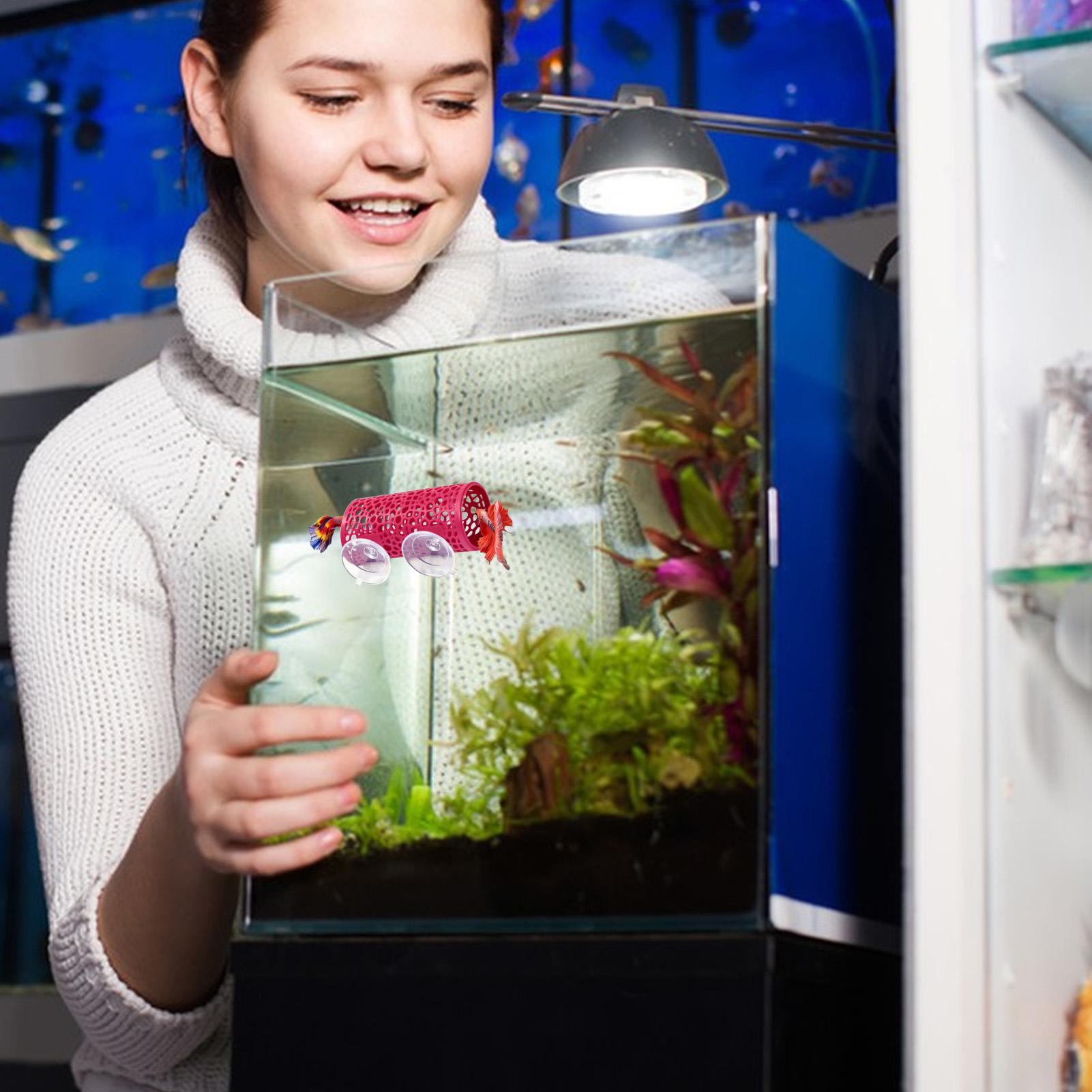 Fish Toy In Aquarium - Habitat pour betta, abri de repos,