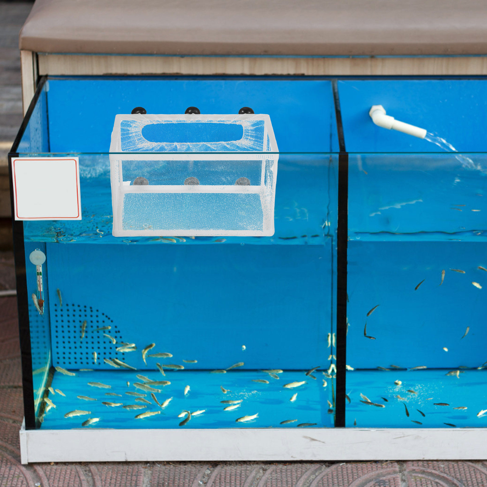 Aquarium Fish Big Size - Boîte d'incubation pour poissons d'aquarium, grande