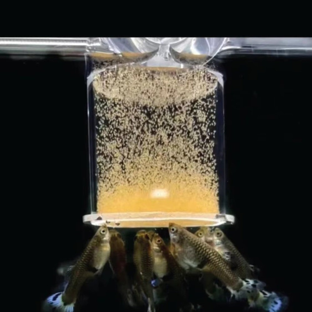 Aquarium Fish Eggs - Mangeoire à crevettes en saumure acrylique,