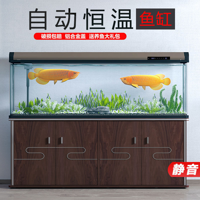 Aquarium Xilong - Aquarium domestique Xilong, du sol au