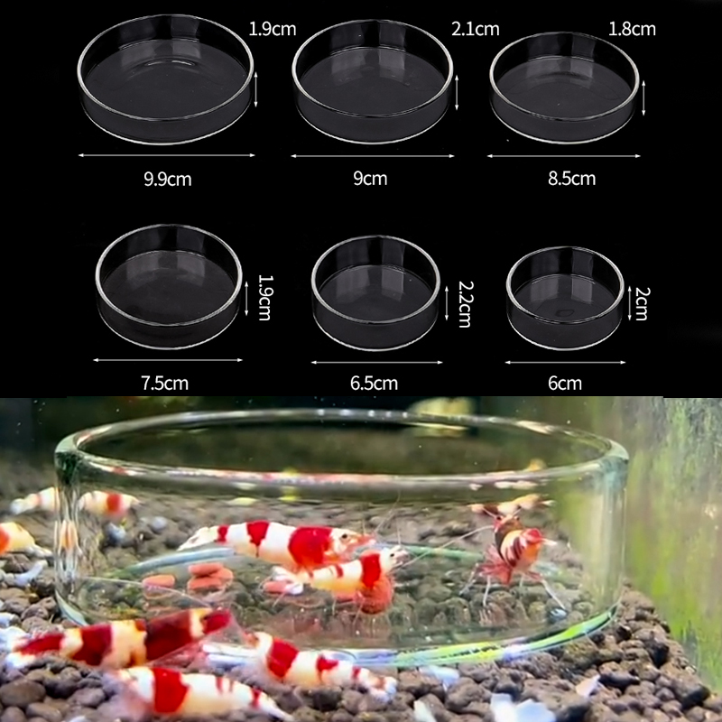 Aquarium Fish Food - Plat d'alimentation pour crevettes, plat d'alimentation