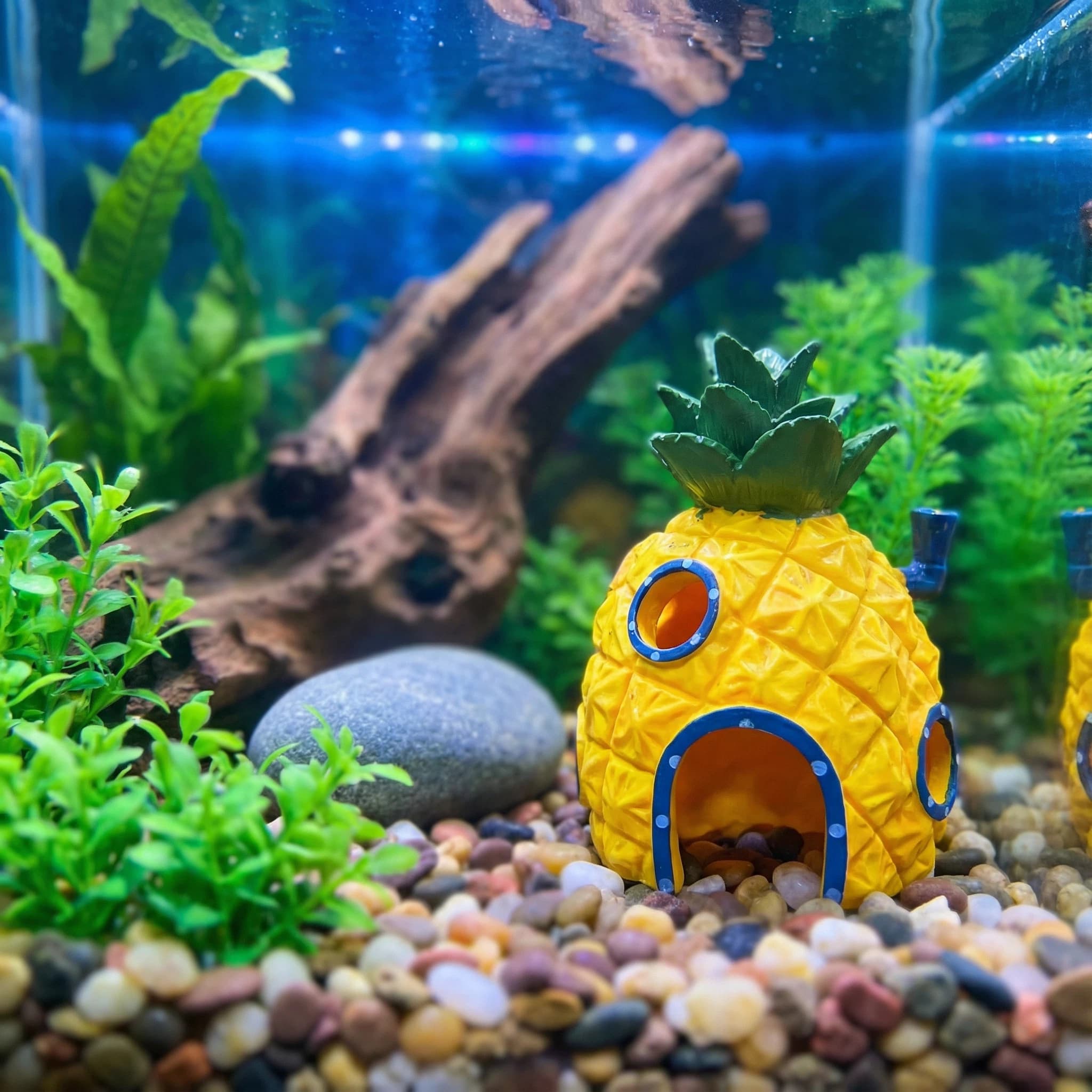 Aquarium Fish Hiding Places - Décoration d'aquarium Pineapple House, grotte de