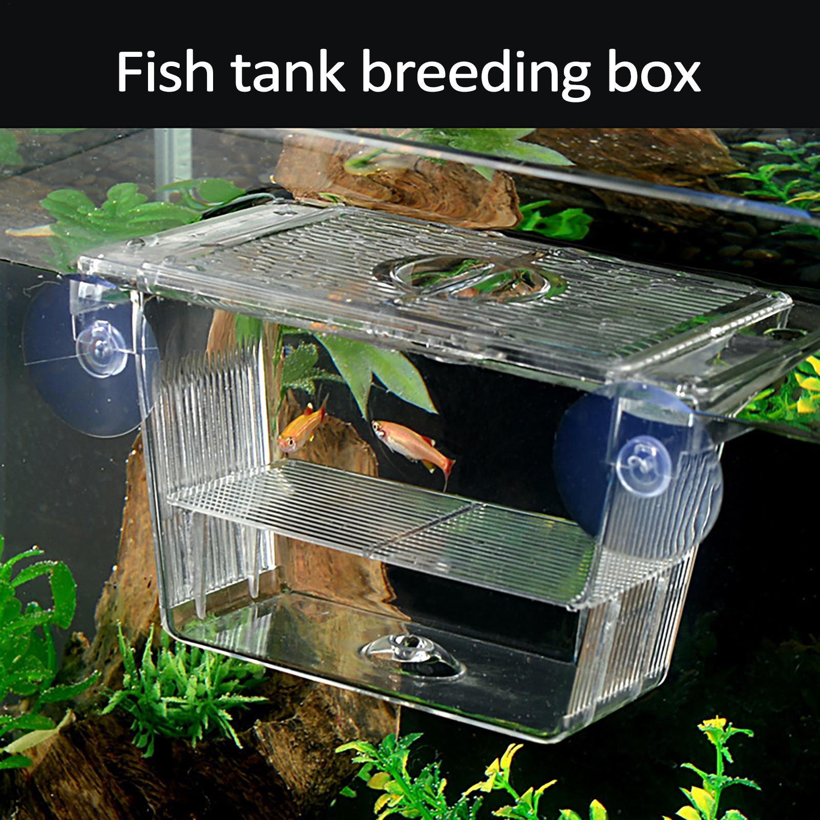 Fish Toy In Aquarium - Boîte d'élevage transparente pour aquarium, incubateur