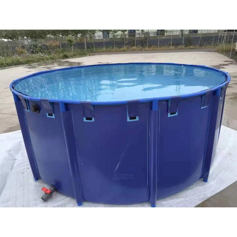 Aquarium Fish Big Size - Vente en gros de bassins et