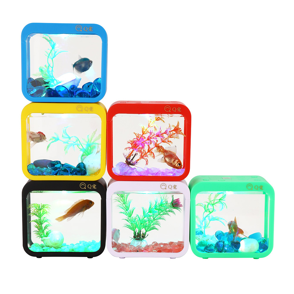 Boîte Betta créative colorée a - Aquarium Fish Game avis et prix