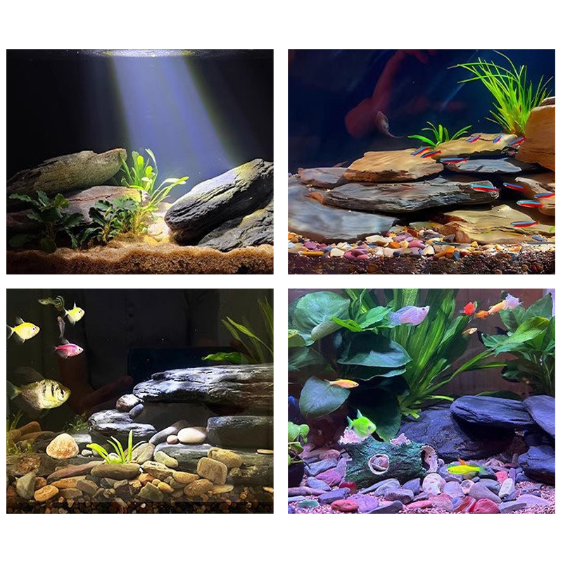 Kit de pierres paysagères pour - Aquarium Fish Guppy avis et prix