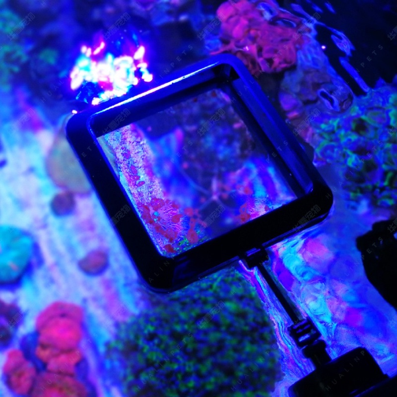 VASTOCEAN anneau d'alimentatio - Aquarium Fish Food avis et prix