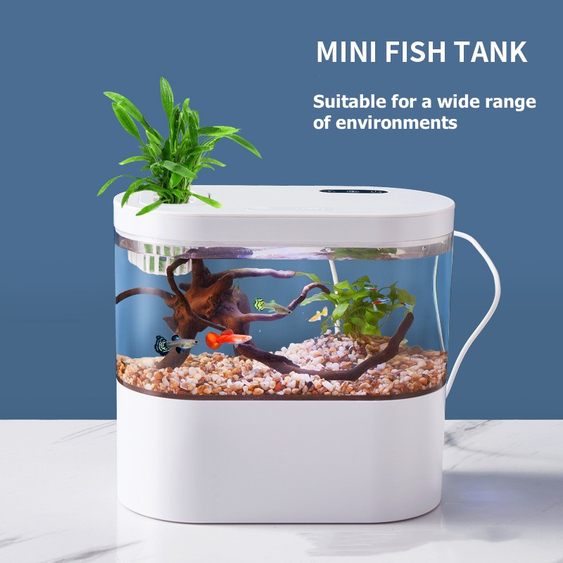Aquarium de bureau créatif ave - Aquarium Fish Game avis et prix