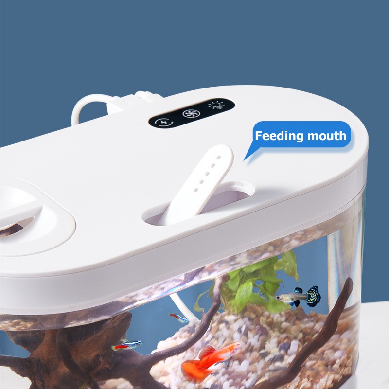 Aquarium de bureau créatif ave - Aquarium Fish Game avis et prix