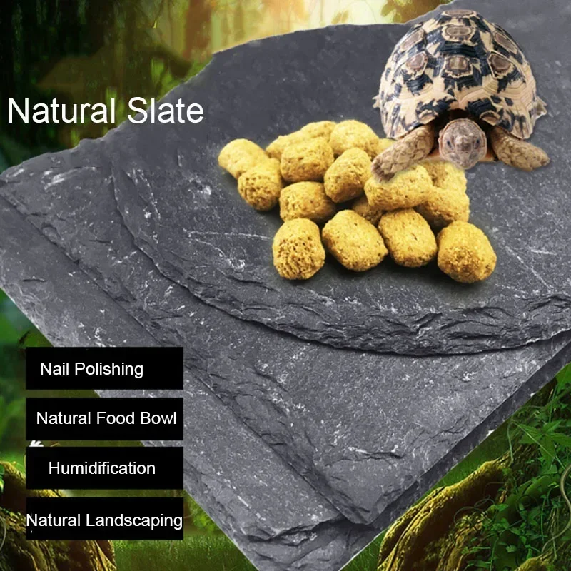 Filles d'Aquarium en Ardoise N - Aquarium Fish Food avis et prix