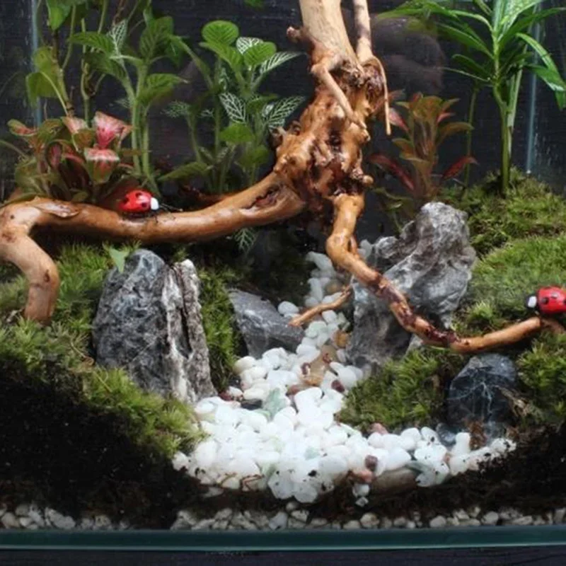 Tronc d'Arbre Naturel en Bois  - Aquarium Fish Hiding Places avis et prix