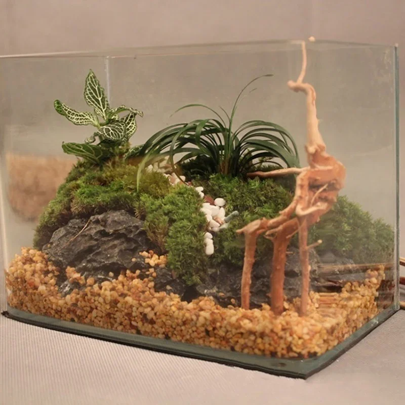 Tronc d'Arbre Naturel en Bois  - Aquarium Fish Hiding Places avis et prix