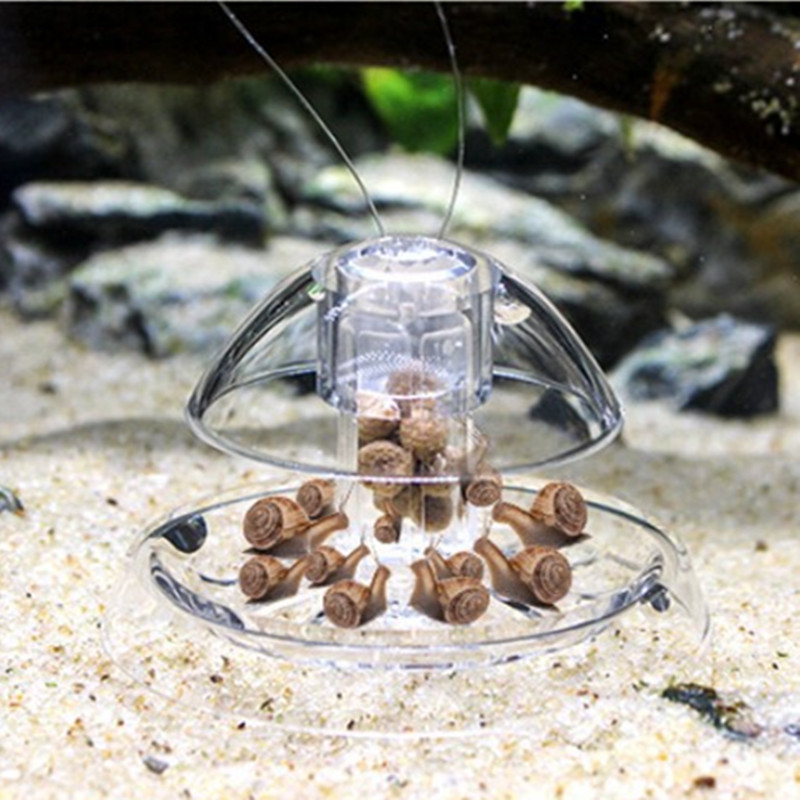 Nettoyeur d'aquarium en plasti - Aquarium Fish Eggs avis et prix