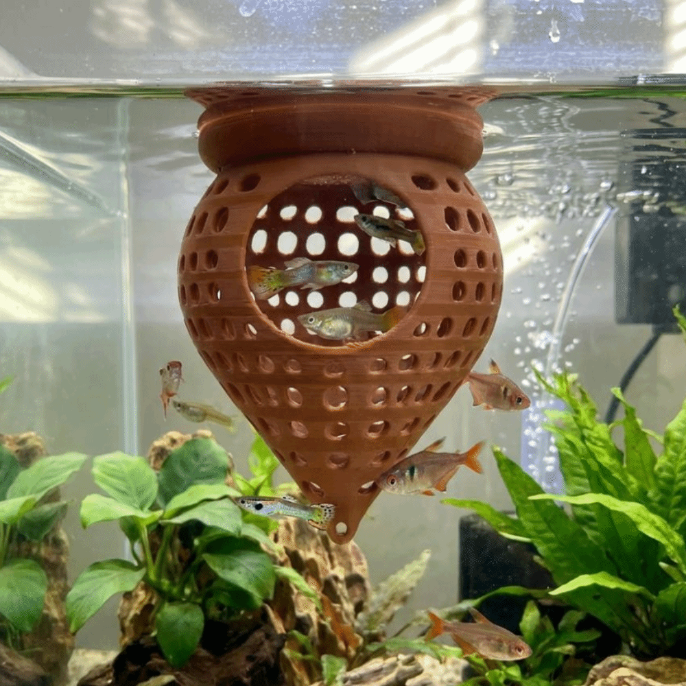 Hamac flottant imprimé en 3D p - Aquarium Fish Food avis et prix
