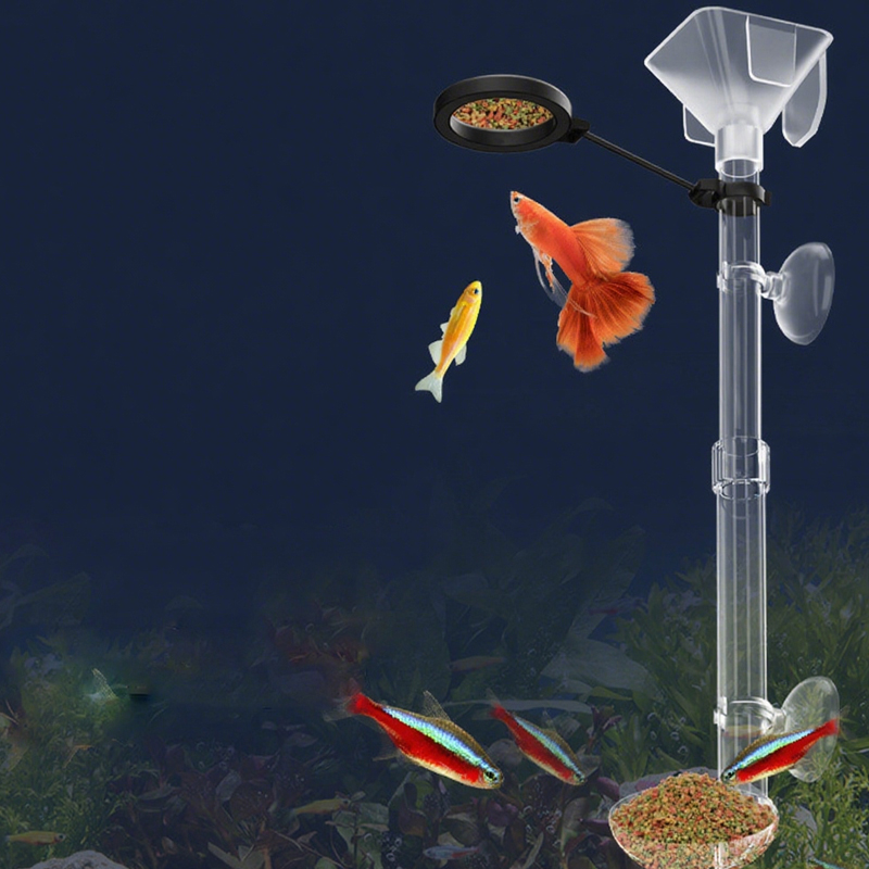Mangeoire à poissons d'aquariu - Aquarium Fish Food avis et prix