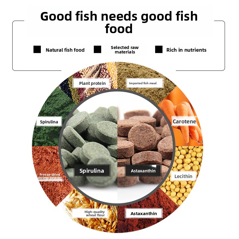 DaJiaWa – comprimé d'alimentat - Tetra Fish In Aquarium avis et prix