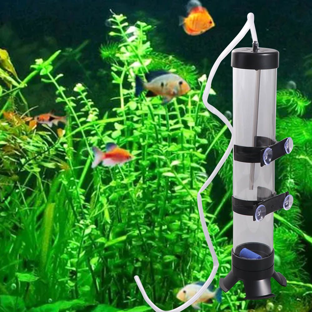 Incubateur d'œufs d'artémia en - Aquarium Fish Eggs avis et prix
