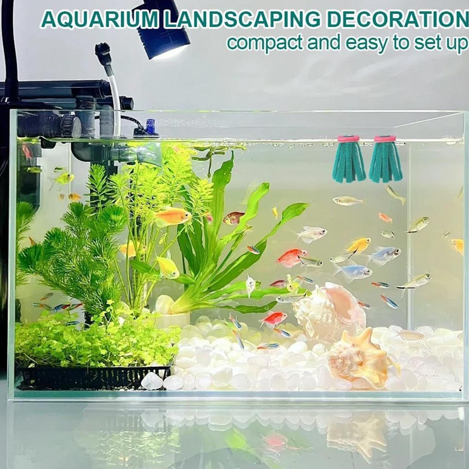10 pièces de décoration d'aqua - Aquarium Fish Eggs avis et prix