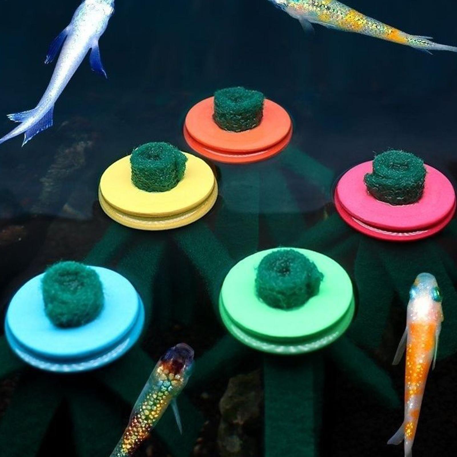 10 pièces de décoration d'aqua - Aquarium Fish Eggs avis et prix