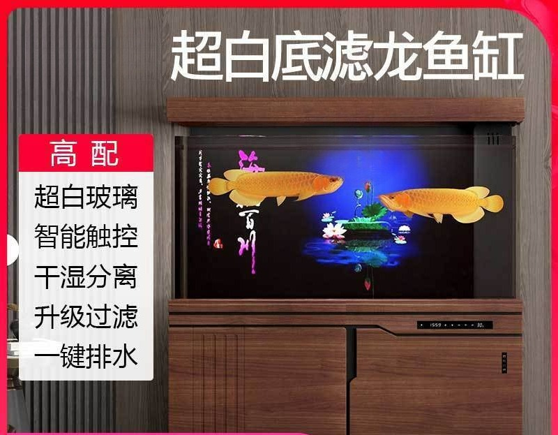 Filtre de fond pour aquarium X - Aquarium Xilong avis et prix