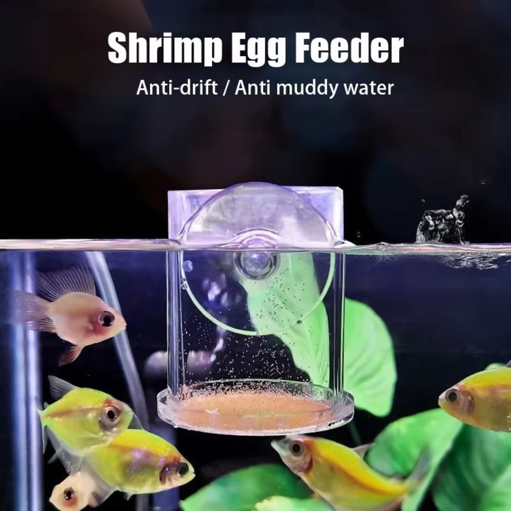 Mangeoire à crevettes en saumu - Aquarium Fish Eggs avis et prix