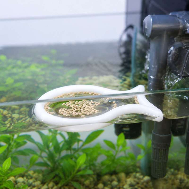 Anneau flottant en forme de po - Aquarium Fish Food avis et prix