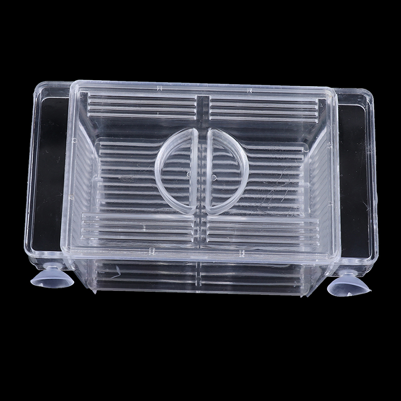 Guppy-Boîte de piège à poisson - Aquarium Fish Eggs avis et prix