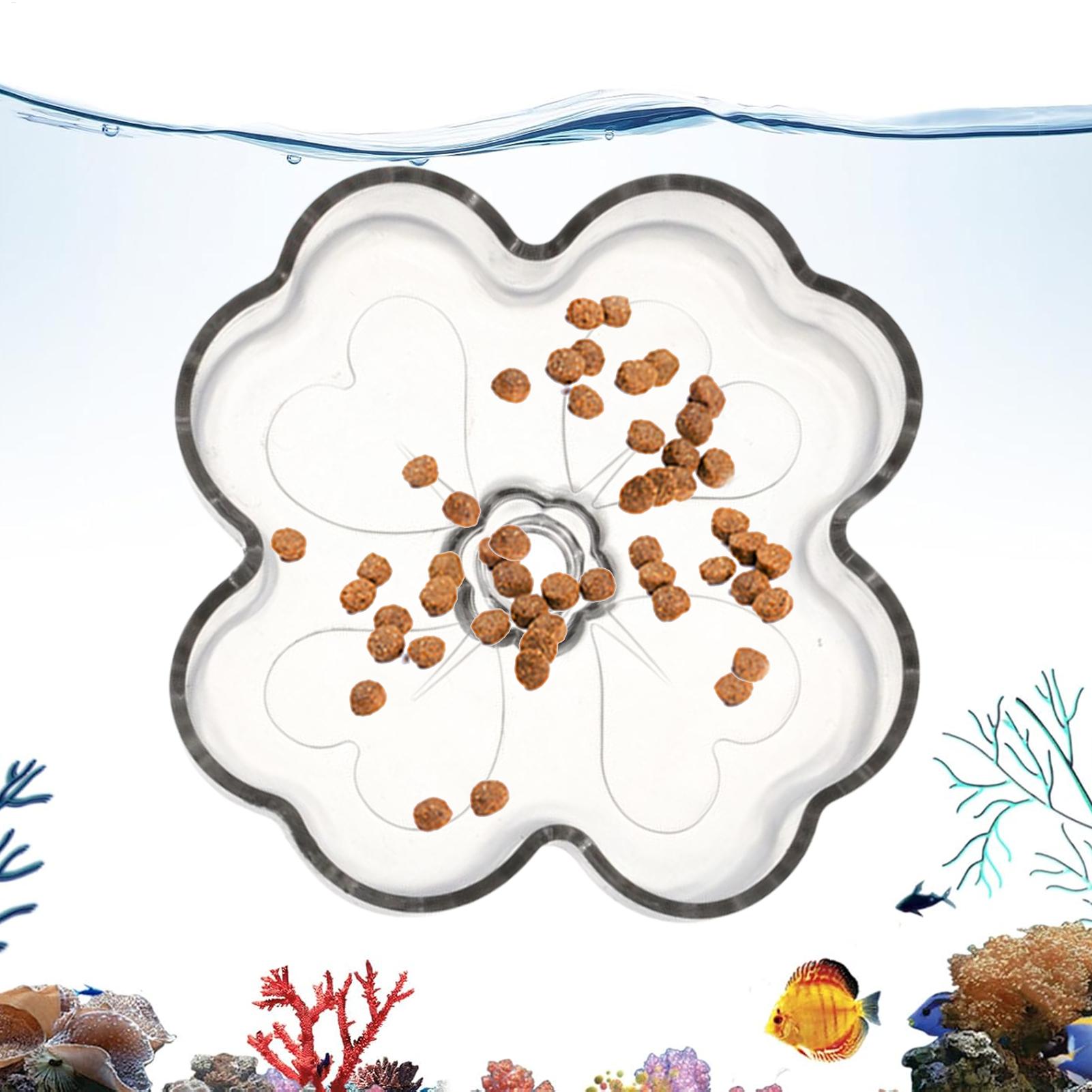 Plateau d'alimentation pour aq - Tetra Fish In Aquarium avis et prix