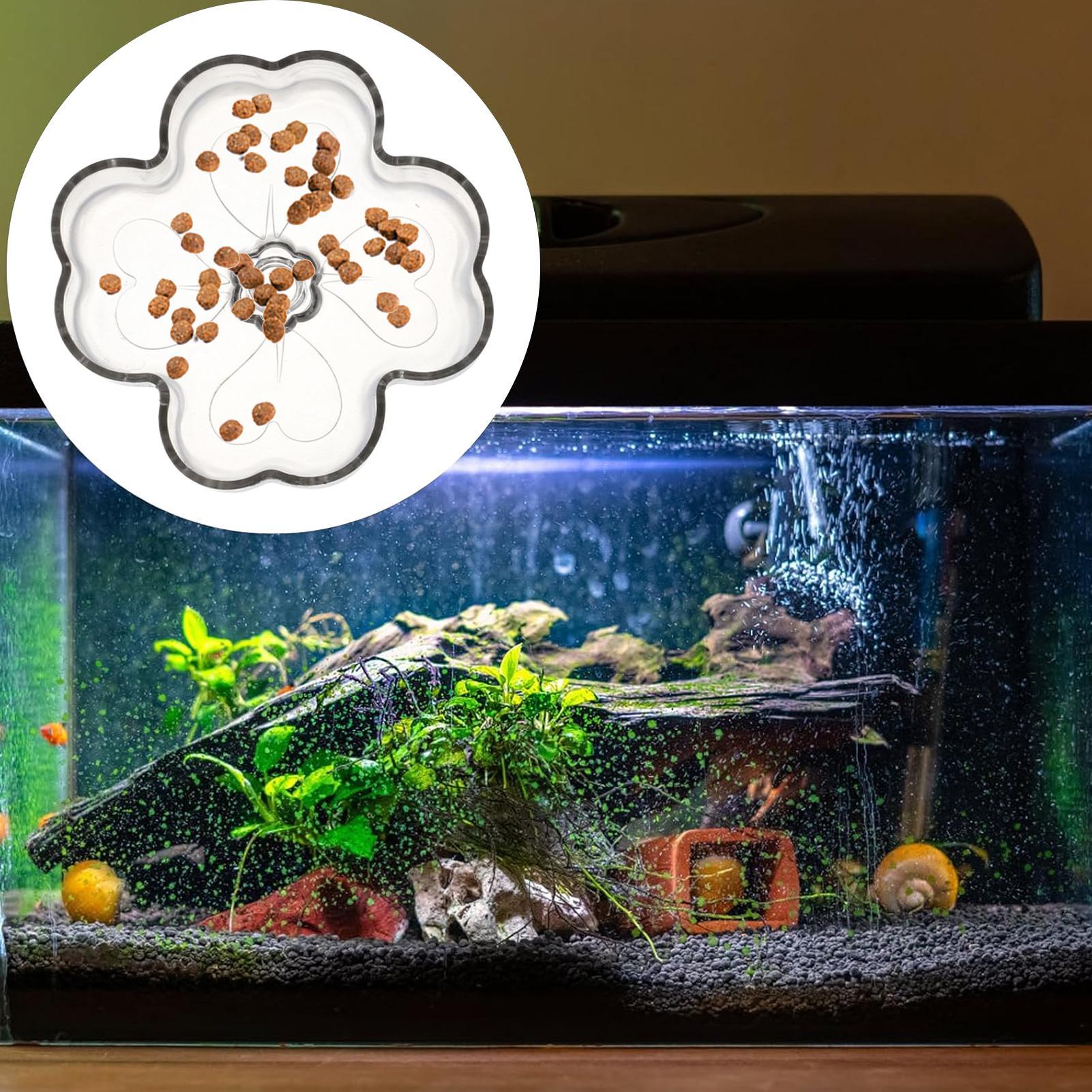 Plateau d'alimentation pour aq - Tetra Fish In Aquarium avis et prix