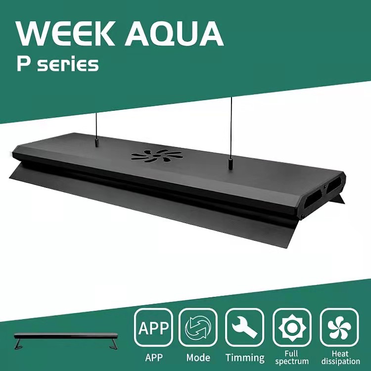 Contrôle par application, haut - Aquarium Fish Big Size avis et prix