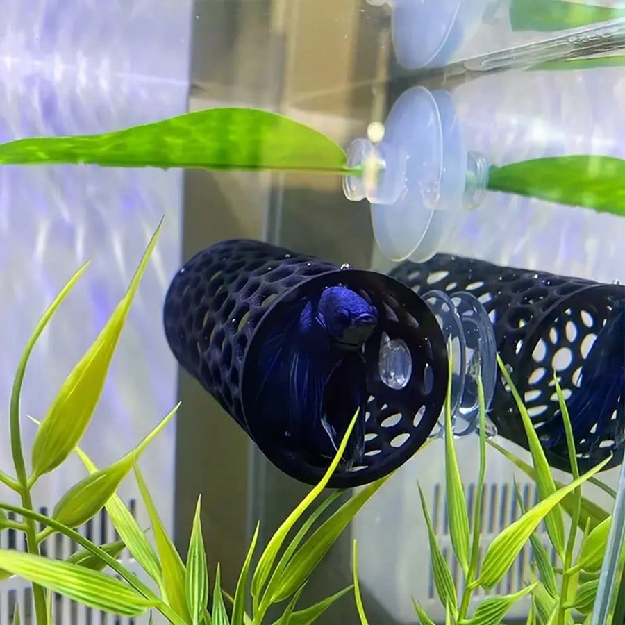 Abri creux pour poissons Betta - Aquarium Fish Hiding Places avis et prix