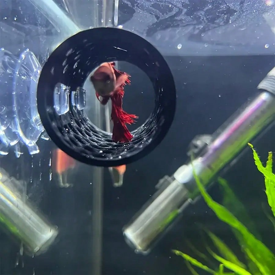 Abri creux pour poissons Betta - Aquarium Fish Hiding Places avis et prix