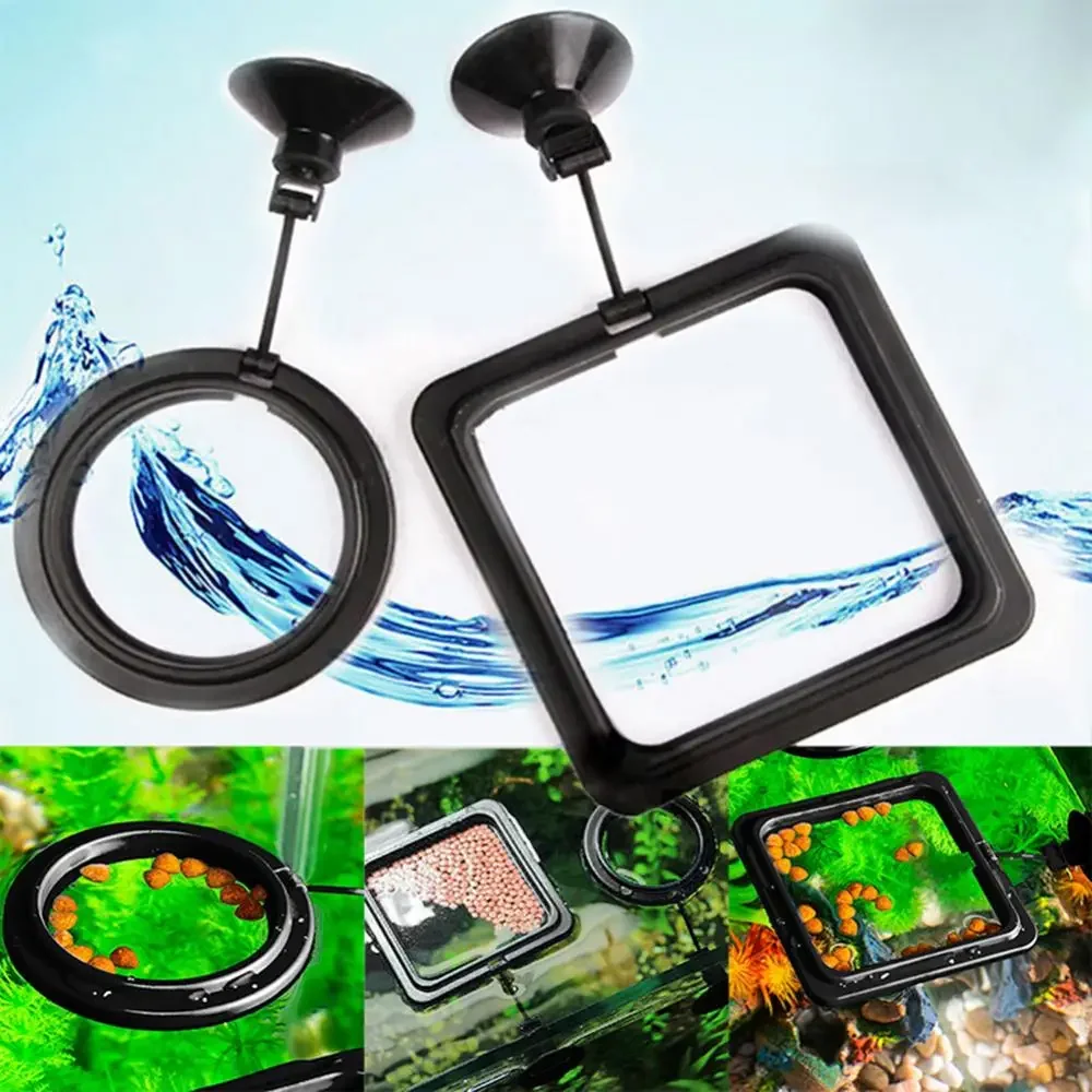 Ventouse d'alimentation pour A - Aquarium Fish Food avis et prix