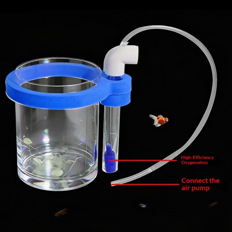 Boîte d'élevage de poissons en - Aquarium Fish Food avis et prix