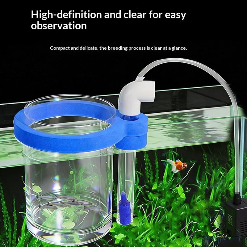 Boîte d'élevage de poissons en - Aquarium Fish Food avis et prix