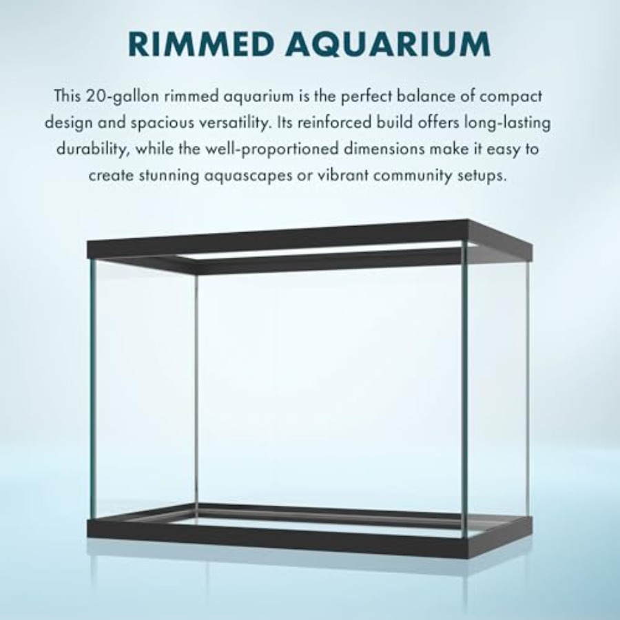 Aquarium en verre de 20 gallon - Fish Toy In Aquarium avis et prix