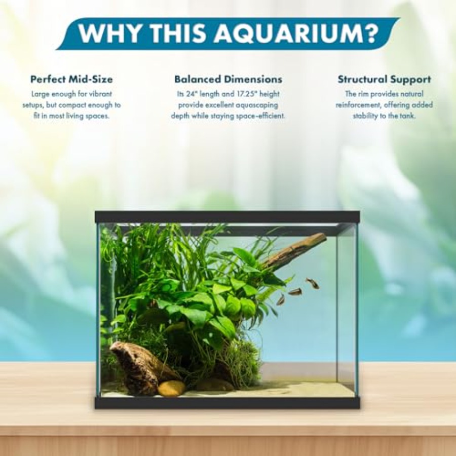 Aquarium en verre de 20 gallon - Fish Toy In Aquarium avis et prix