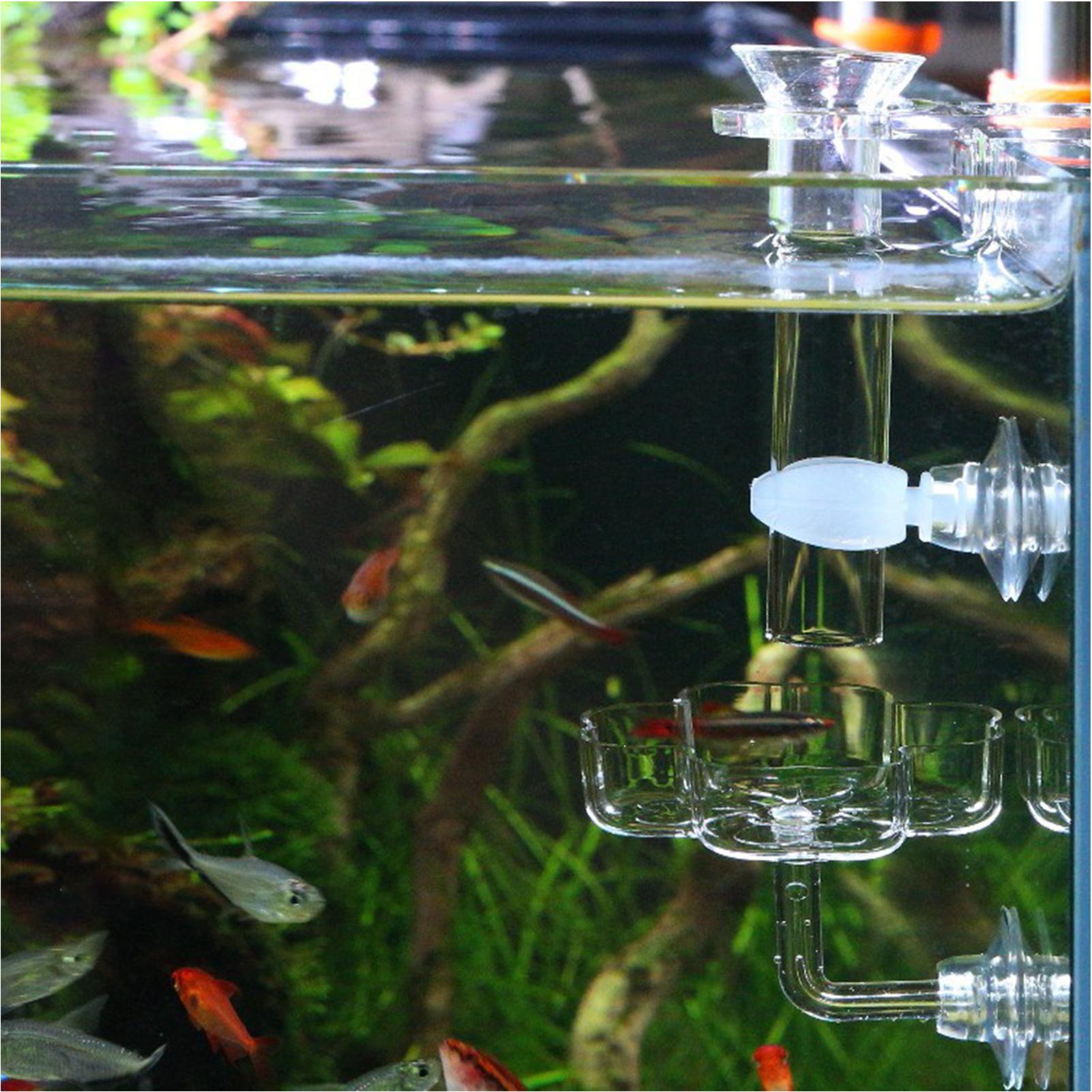 Distributeur de nourriture pou - Tetra Fish In Aquarium avis et prix