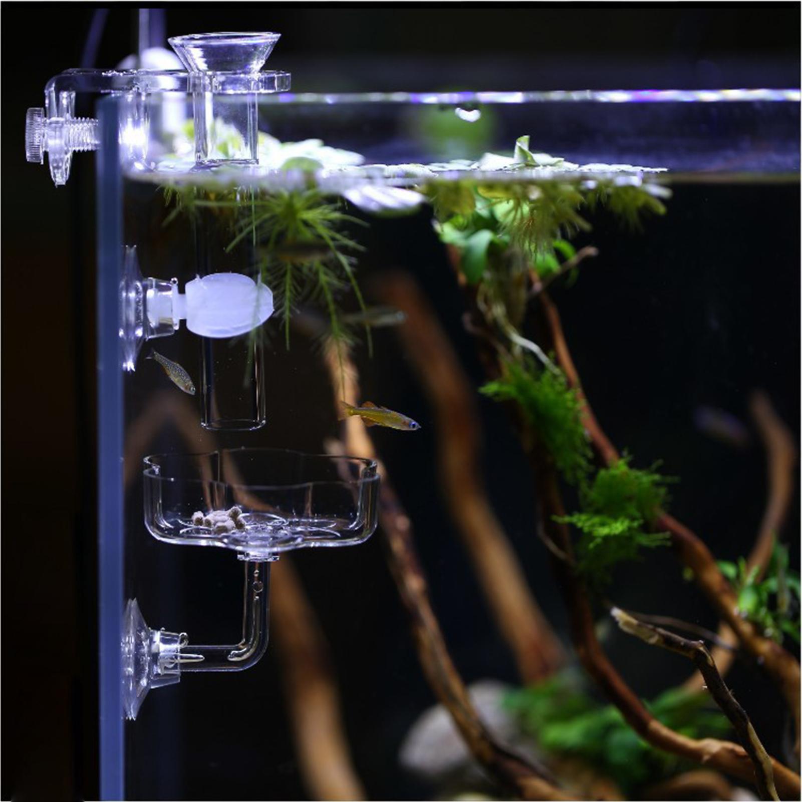 Distributeur de nourriture pou - Tetra Fish In Aquarium avis et prix