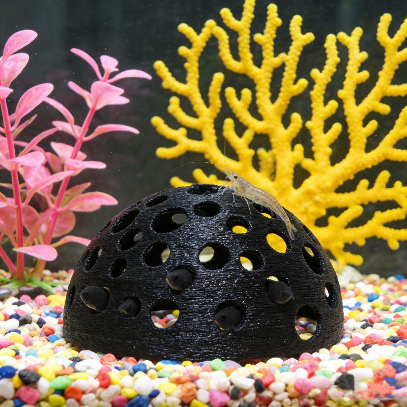 Caverne cachée pour aquarium,  - Aquarium Fish Hiding Places avis et prix