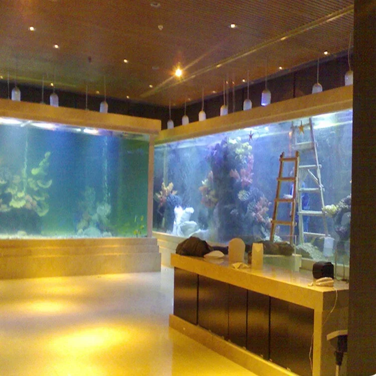 L Acrylique Grand Aquarium Rec - Aquarium Fish Big Size avis et prix