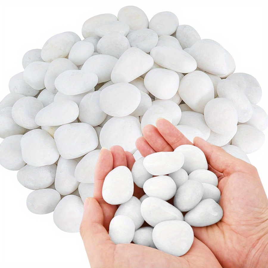 Cerfsets naturels blancs haute - Aquarium Fish Guppy avis et prix
