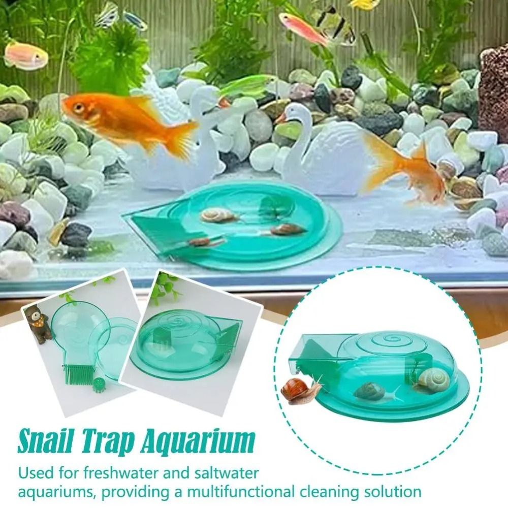 Piège à escargots pour aquariu - Aquarium Fish Eggs avis et prix