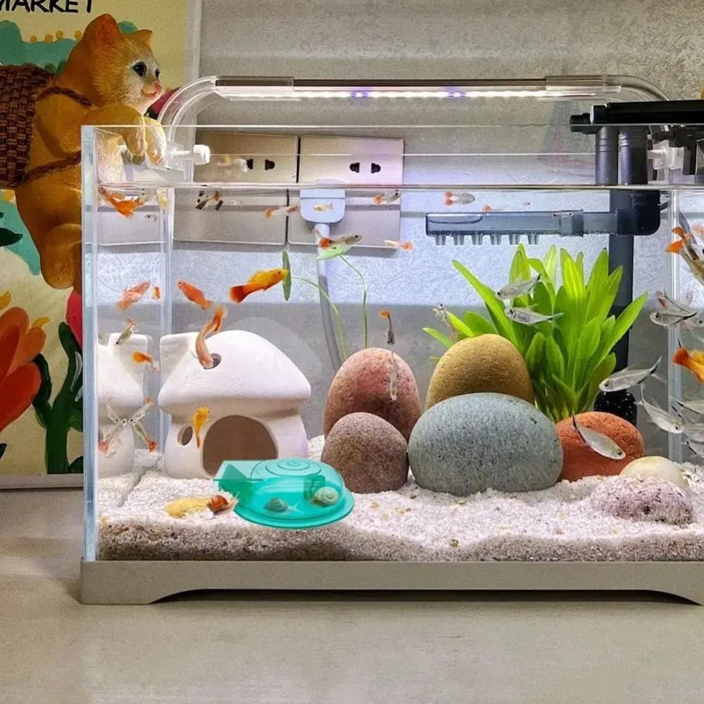Piège à escargots pour aquariu - Aquarium Fish Eggs avis et prix