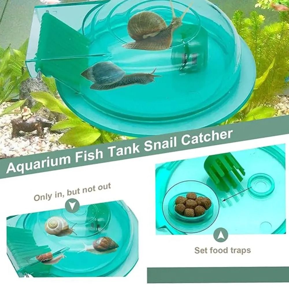 Piège à escargots pour aquariu - Aquarium Fish Eggs avis et prix