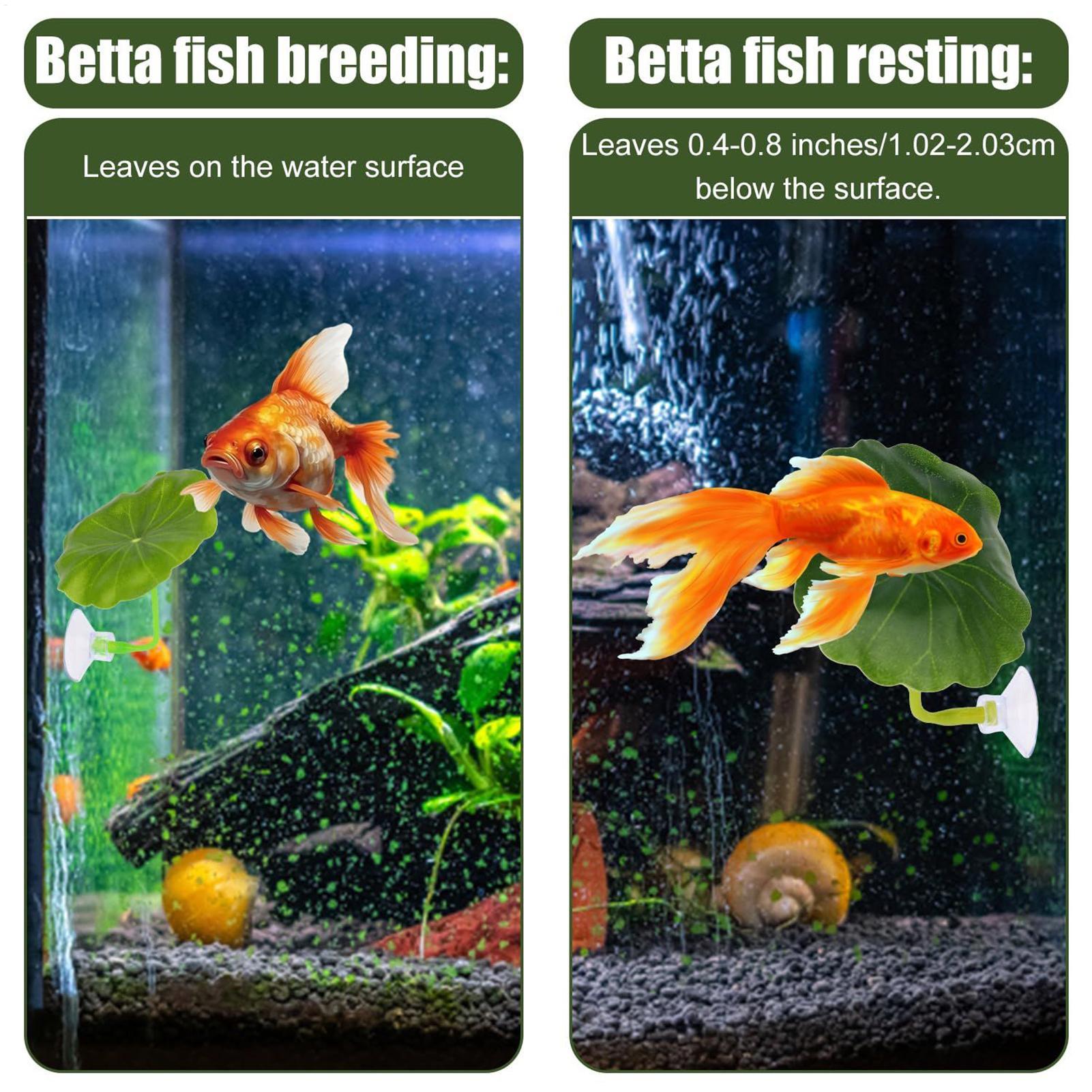 Hamac à poisson Betta 5 pièces - Fish Toy In Aquarium avis et prix