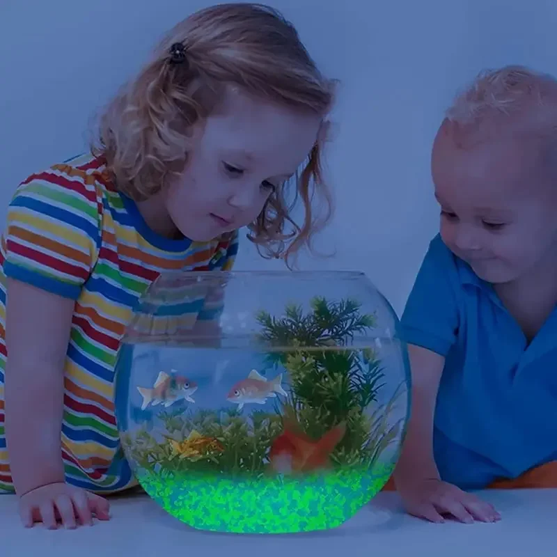 1000 pièces 3-5mm sable lumine - Aquarium Fish Guppy avis et prix