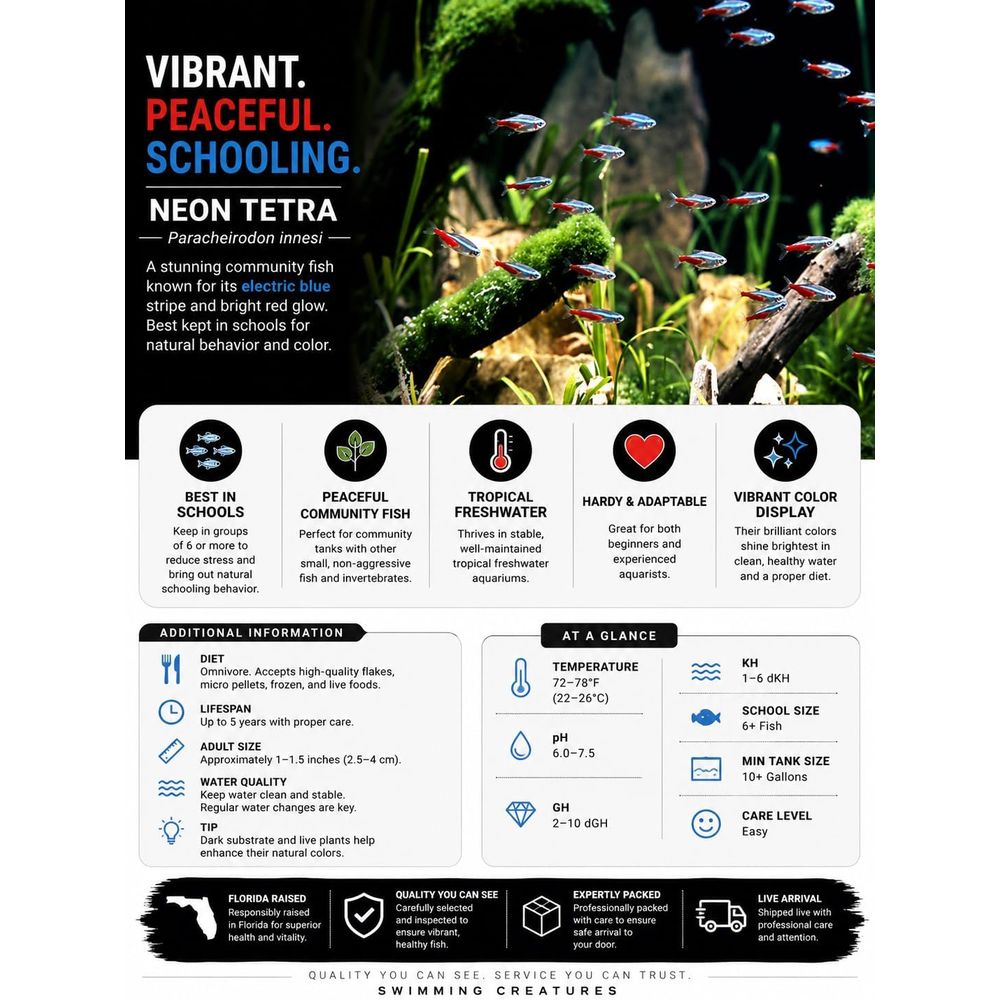 Tétroïdes néon d'eau douce (ta - Tetra Fish In Aquarium avis et prix