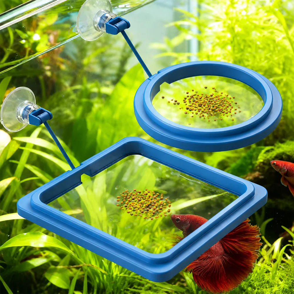 Nourriture pour poissons Betta - Aquarium Fish Eggs avis et prix