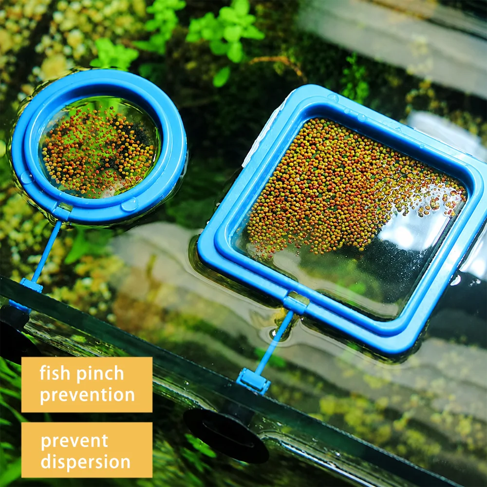 Nourriture pour poissons Betta - Aquarium Fish Eggs avis et prix